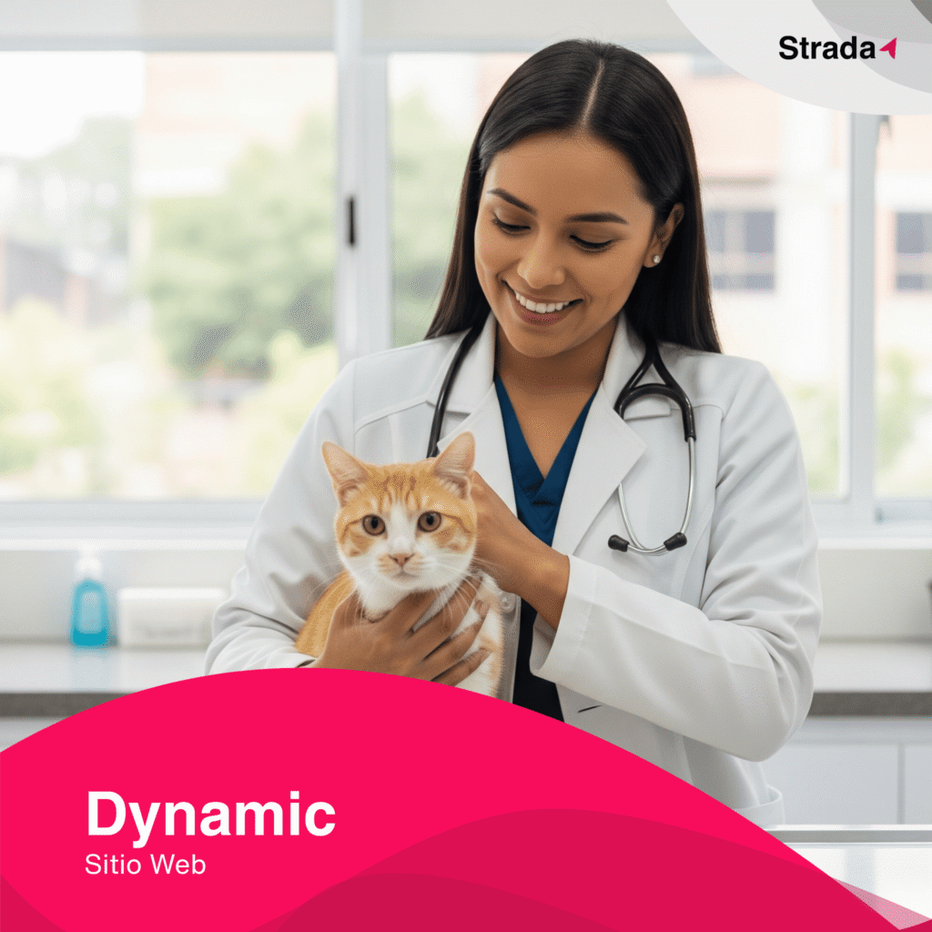 Sitio Web dynamic Strada Marketing CA